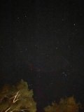 A Stellar Night in Carmel