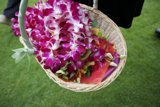 A Basket of Beautiful Blooms