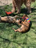 Fun in the Sun