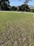 A stroll in the park