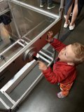 Curious Minds at Play