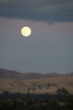Lunar Grace Over Walnut Creek