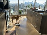 Robo-Cleaning Buddy