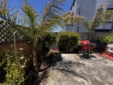 Summer Vibes in the Backyard