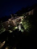 Evening Glow in the Urban Garden