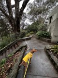Walking the Path in Style