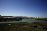 Nature Meets Industry in Millbrae, 2023
