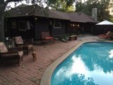 Relaxing by the Pool with Man's Best Friend