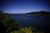 Serene Lake View from the Hilltop