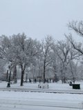 Winter Wonderland