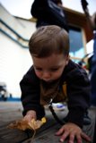 The Curious Little Explorer