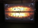 Sunset Projection Screen