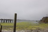 Serene Waterfront View