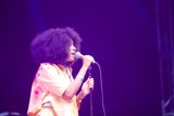 Afro-Latin Beats Take Over Coachella with Solange