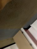 Plywood Bathroom Renovation