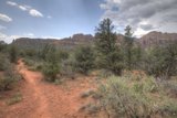 The Trail through the Wilderness