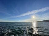 Sailing into the Sunset