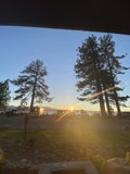 Tree Silhouette at Sunset