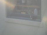 Window Ledge Perch