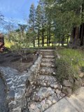 Pathway Through Nature