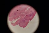 Pink Stain on Black Surface