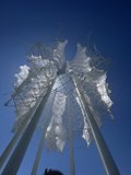 Sky Tower at Empire Polo Club