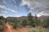 Journey through the Wild