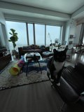 Feline Perch