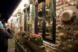 Floral Extravaganza in Korea's Heart