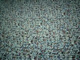 The Multitude of Shinjuku