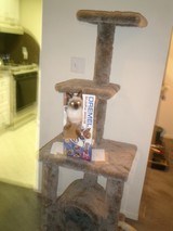 Feline Furniture