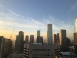 A Bird's Eye View of the Urban Jungle
