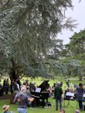 Music in the Park
