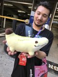 The Banana Man