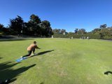 A Game of Croquet on a Sunny Day