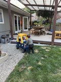 Afternoon Play in the Backyard