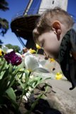 Springtime Whispers