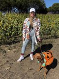 Pumpkin and Pup
