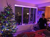 Holiday Cheer in the Living Room