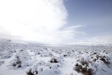 Majestic Tundra Mountain