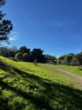 Rolling Hills and Tranquil Trees