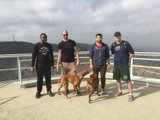 Boys and their dog take in the view
