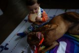 Wesley's Playtime with Furry Friend
