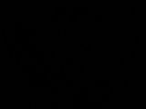 Midnight Silhouette