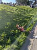 Resting in the Park