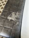 The Feline-themed Bed