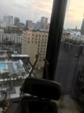 Urban Oasis