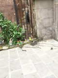 Street Corner Still Life