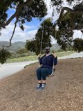 Serenity Swing