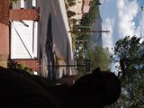 City Streets